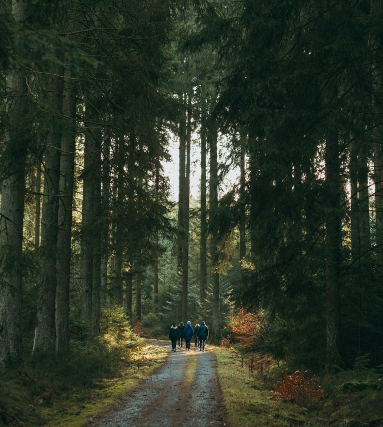 jonas-denil-E0gXV5Jvbzk-unsplash jonas-denil-E0gXV5Jvbzk-unsplash